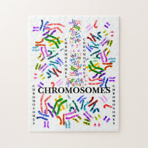 Chromosomen Challenging Fun für das Alter von 10  Puzzle