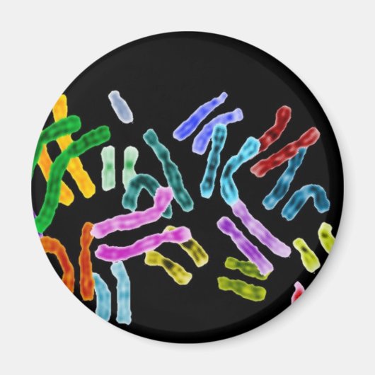 Chromosomenschwarzer Hintergrund Magnet (Vorne)