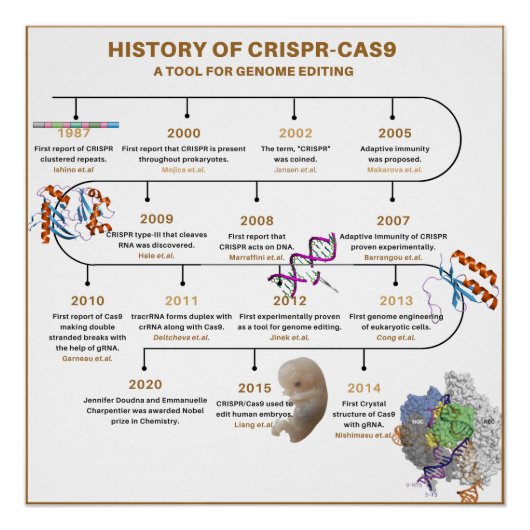 Chronik des CRISPR-Genoms Poster (Vorderseite)