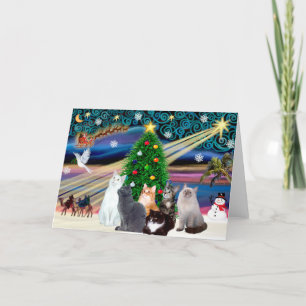 Chrstmas Magic - Sechs Katzen (Sorte) Feiertagskarte