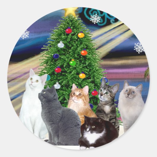 Chrstmas Magic - Sechs Katzen (Sorte) Runder Aufkleber (Vorderseite)