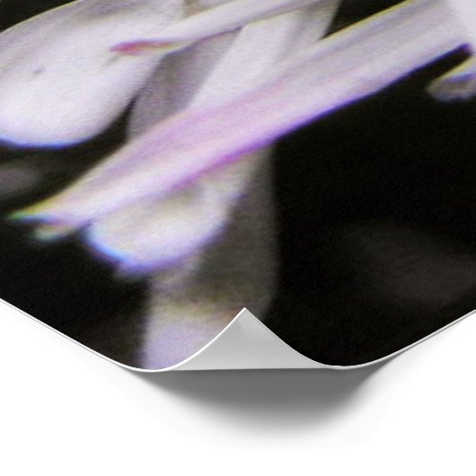 Chrybursta Poster (Ecke)