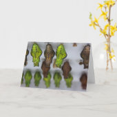 Chrysalis Birthday Card Karte (Gelbe Blume)