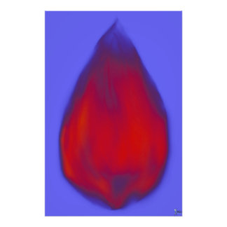 CHRYSALIS FOTODRUCK