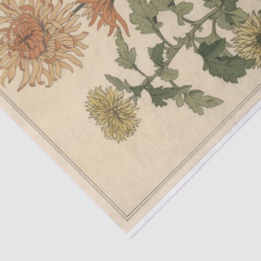 Chrysanthema, Botany Serie von Eugene Grasset Seidenpapier (Ausschnitt)