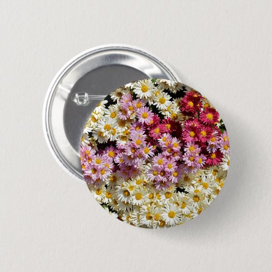 Chrysanthema Button (Vorne & Hinten)