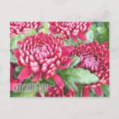 Chrysanthema - Horizontale Postkarte (Vorderseite)