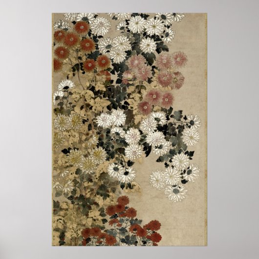 Chrysanthemas vom Master of I-nen Siegel Poster (Vorne)