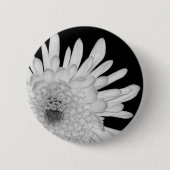Chrysantheme Button (Vorderseite)