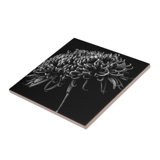 Chrysantheme Fliese (Seite)