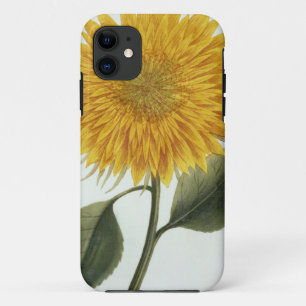 Chrysantheme Indicum von 'Pythanthoza Iconograph iPhone 11 Hülle