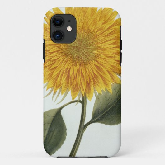 Chrysantheme Indicum von 'Pythanthoza Iconograph Case-Mate iPhone Hülle (Rückseite)