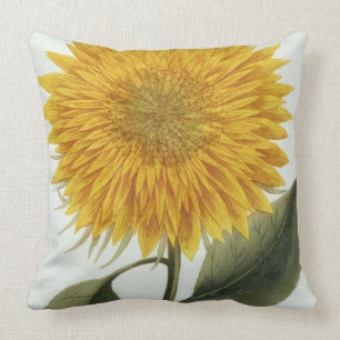 Chrysantheme Indicum von 'Pythanthoza Iconograph Kissen