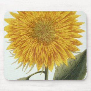 Chrysantheme Indicum von 'Pythanthoza Iconograph Mousepad