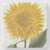 Chrysantheme Indicum von 'Pythanthoza Iconograph Steinuntersetzer (Vorderseite)