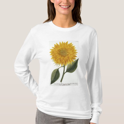Chrysantheme Indicum von 'Pythanthoza Iconograph T-Shirt (Vorderseite)