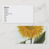 Chrysantheme Indicum von 'Pythanthoza Iconograph Visitenkarte (Vorne/Hinten)