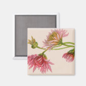 Chrysantheme - Magnet (Vorderseite/Rückseite)