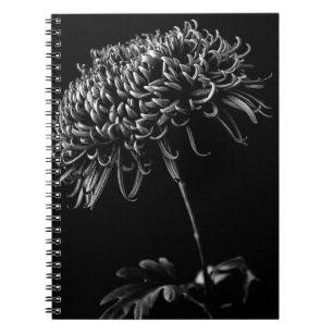 Chrysantheme Notizblock