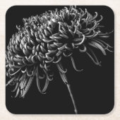 Chrysantheme Rechteckiger Pappuntersetzer (Vorderseite)