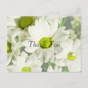 Chrysantheme Vielen Dank Postkarte
