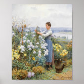 Chrysanthemen | Daniel Ridgway Knight Poster (Vorne)
