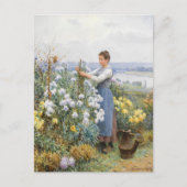 Chrysanthemen | Daniel Ridgway Knight Postkarte (Vorderseite)