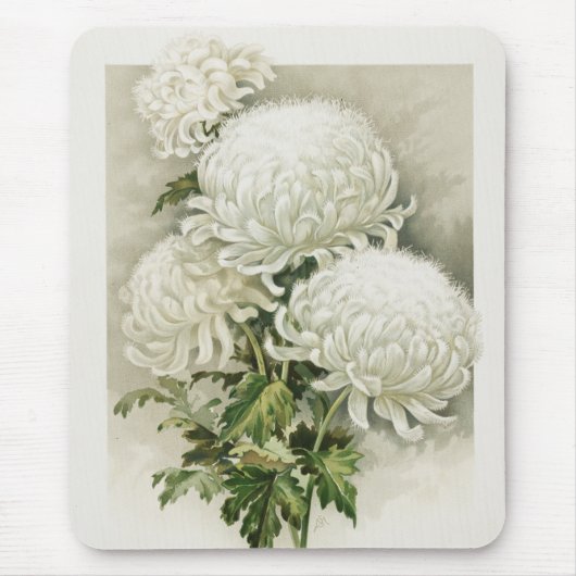 Chrysanthemen - Elegant Vintag Mousepad (Vorne)