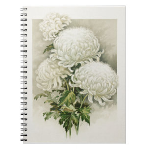Chrysanthemen - Elegant Vintag Notizblock