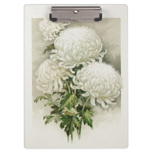 Chrysanthemen – Elegante Vintage-Botanik Klemmbrett