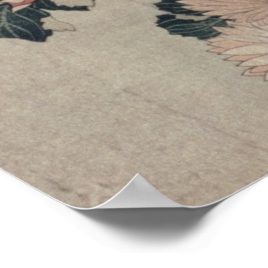 Chrysanthemen (Farbholzblock) Poster (Ecke)