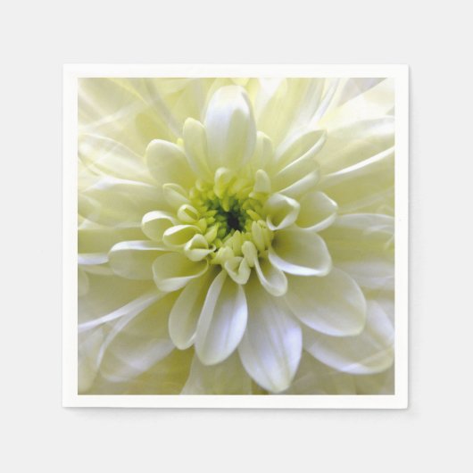 CHRYSANTHEMEN SERVIETTE (Vorderseite)