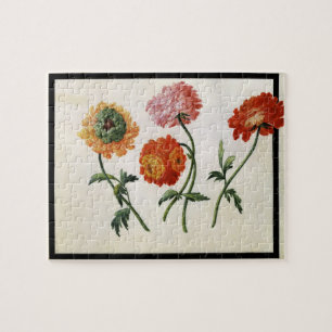 Chrysanthemen (w/c auf Papier) Puzzle