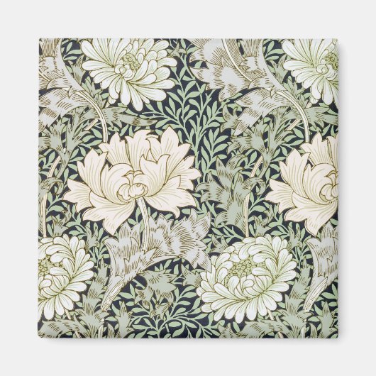 Chrysanthemen, William Morris Magnet (Vorne)