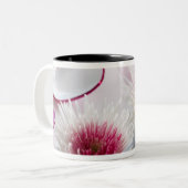 Chrysanthemen Zweifarbige Tasse (Vorderseite Links)