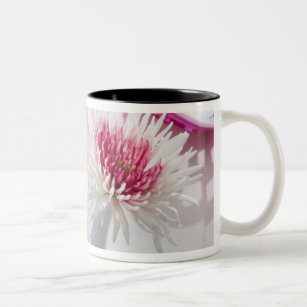 Chrysanthemen Zweifarbige Tasse