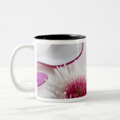 Chrysanthemen Zweifarbige Tasse (Links)