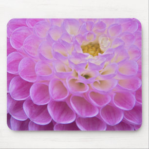 Chrysanthemenblume schmückt Grabstätte in Mousepad