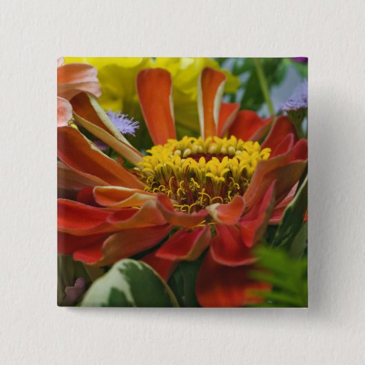 Chrysanthemenblüte Button (Vorderseite)