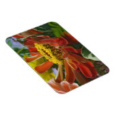 Chrysanthemenblüte Magnet (Rechte Seite)