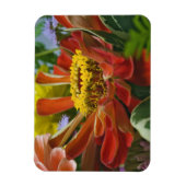 Chrysanthemenblüte Magnet (Vertikal)