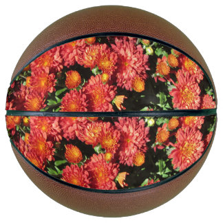 Chrysanthemum Basketball