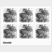 Chrysanthemum Black & White Square Stickers (Blatt)