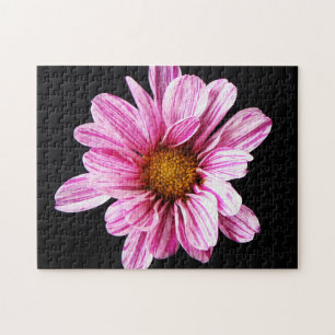 Chrysanthemum Blume 11x14 252pc jpcn Puzzle