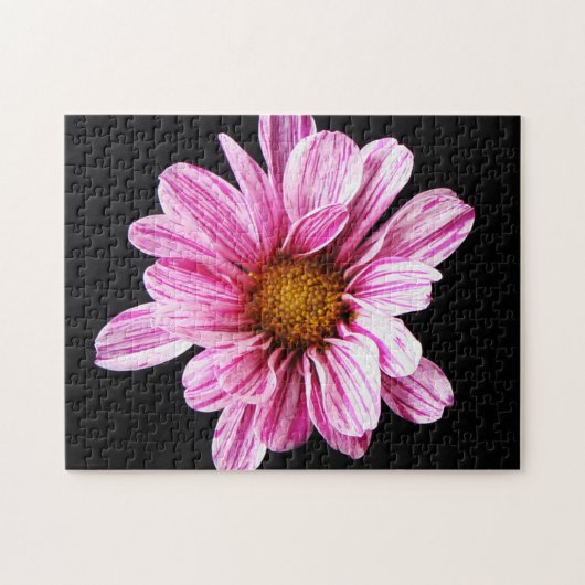 Chrysanthemum Blume 11x14 252pc jpcnm Puzzle (Horizontal)