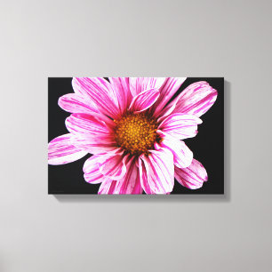 Chrysanthemum Blume 16,50x11 (41,25x27,5cm) Waca Leinwanddruck