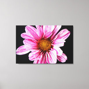 Chrysanthemum Blume 36x24 (90x60cm) Wacm Leinwanddruck