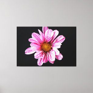 Chrysanthemum Blume 60x40 (150x100cm) Waccn Leinwanddruck