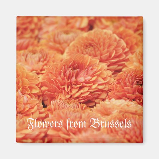 Chrysanthemum-Blume als Teppichboden angeordnet Magnet (Vorne)