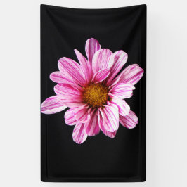 Chrysanthemum Blume Banner
